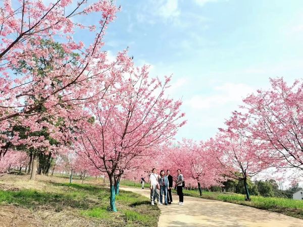 湖南德晴天澤建設(shè)工程有限公司,房屋建筑工程施工,園林綠化設(shè)計施工,道路工程施工哪家好