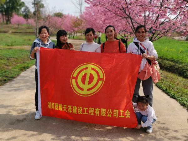 湖南德晴天澤建設(shè)工程有限公司,房屋建筑工程施工,園林綠化設(shè)計施工,道路工程施工哪家好