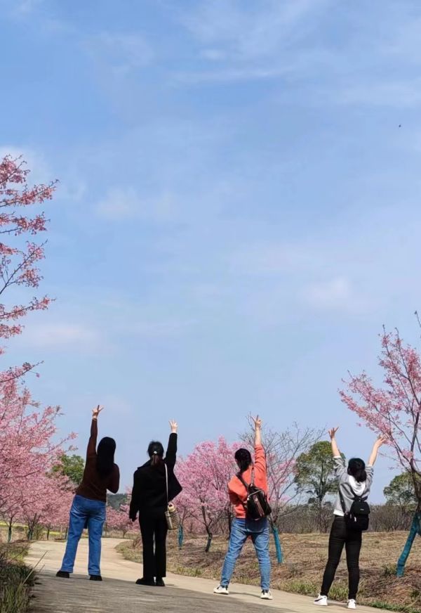 湖南德晴天澤建設(shè)工程有限公司,房屋建筑工程施工,園林綠化設(shè)計施工,道路工程施工哪家好