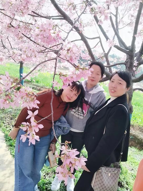 湖南德晴天澤建設(shè)工程有限公司,房屋建筑工程施工,園林綠化設(shè)計施工,道路工程施工哪家好